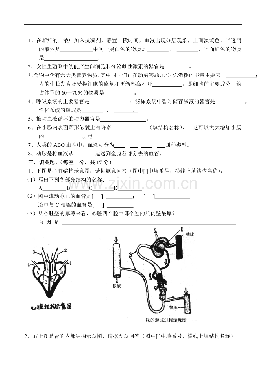 七年级生物下册期末考试试题1.doc_第3页