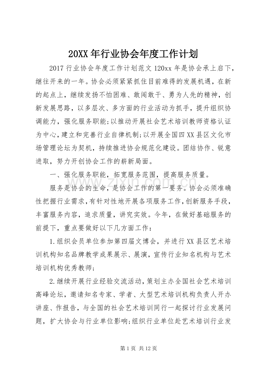 20XX年行业协会年度工作计划.docx_第1页