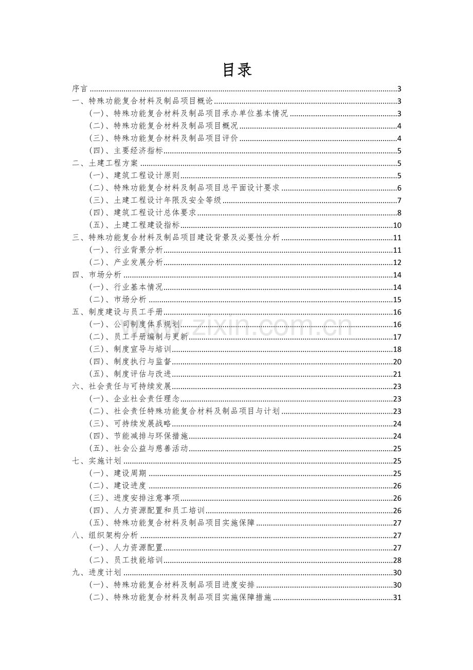 特殊功能复合材料及制品项目可行性研究报告.docx_第2页