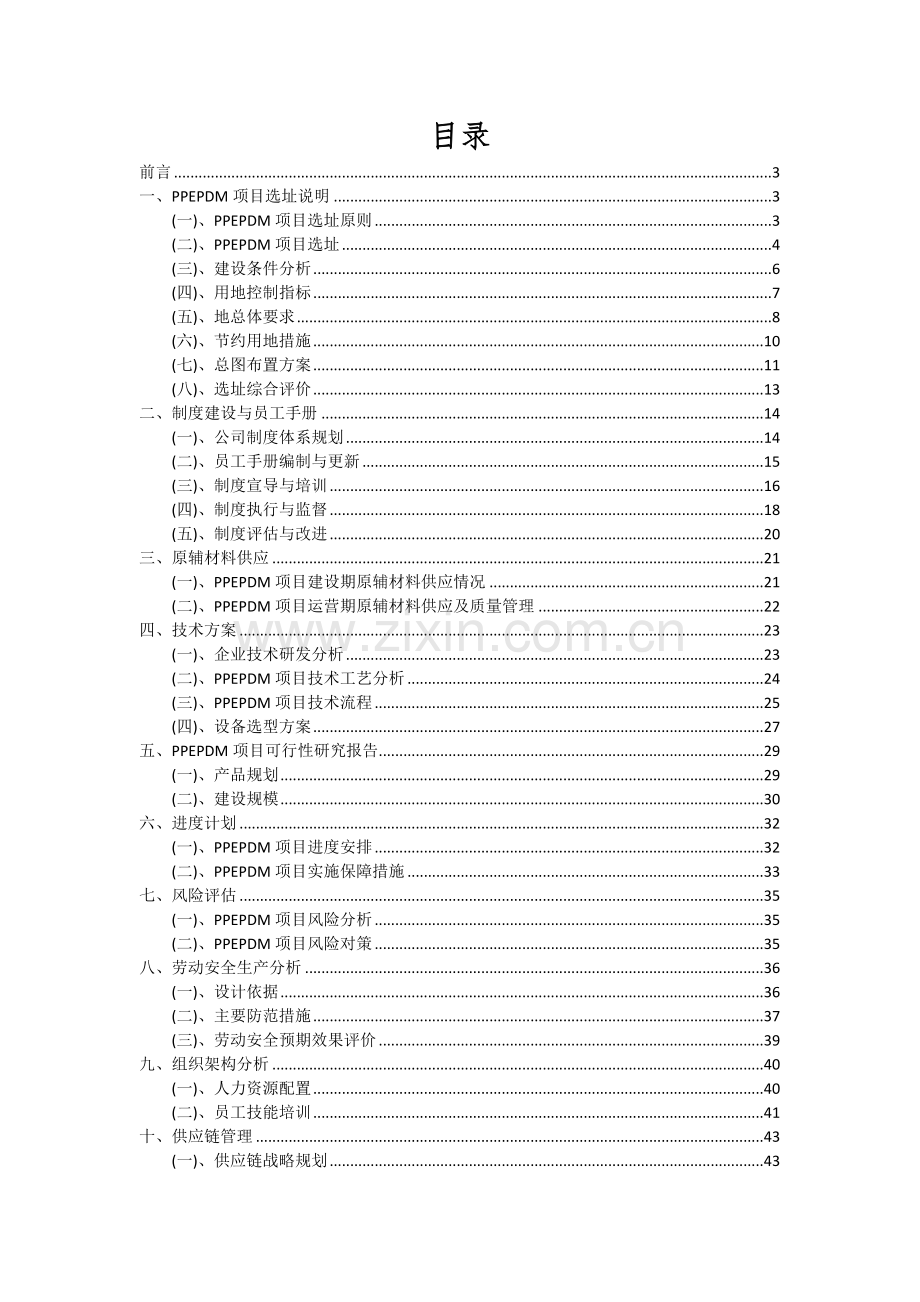 PPEPDM项目可行性分析报告.docx_第2页