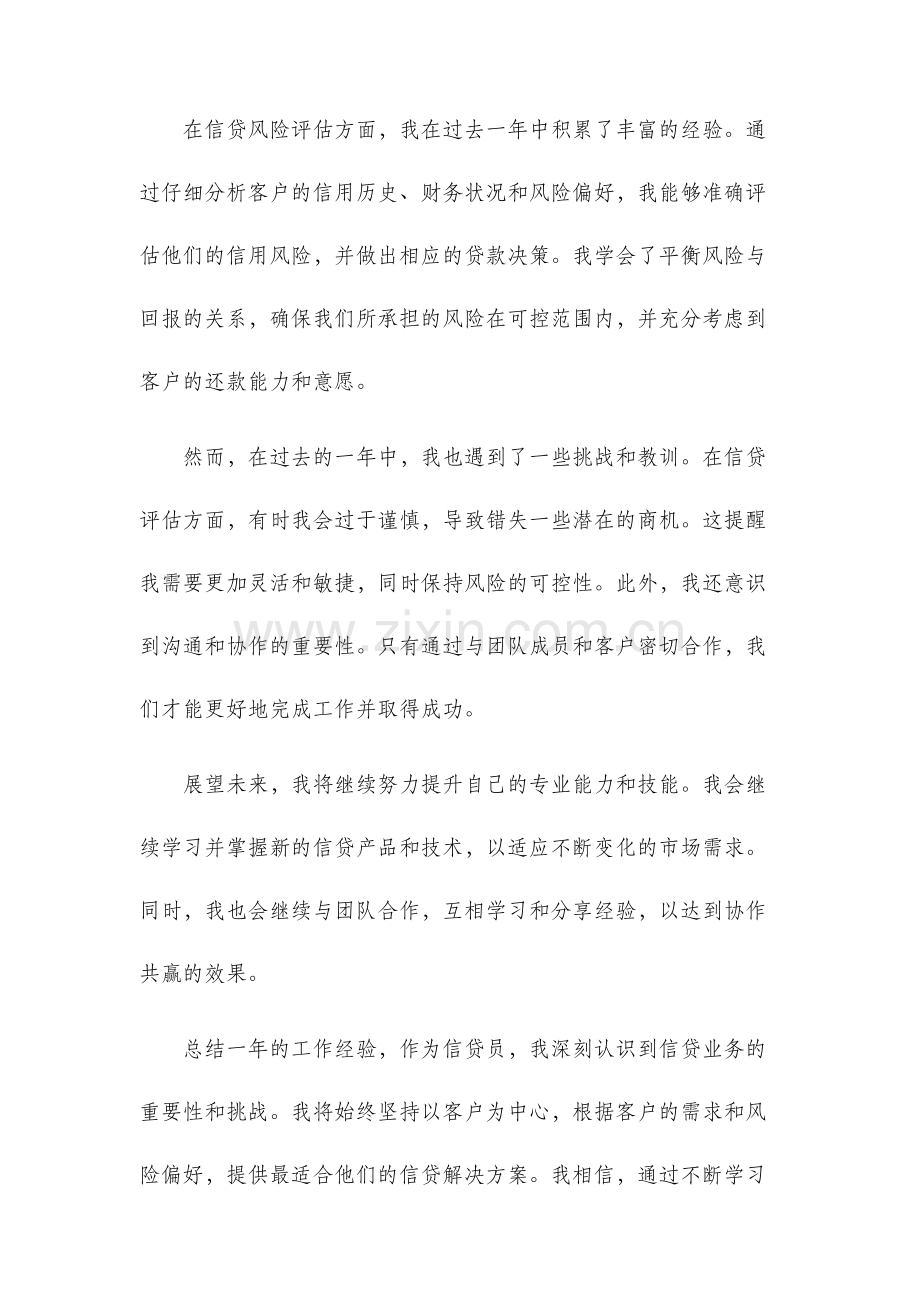 信贷员年终总结.docx_第2页