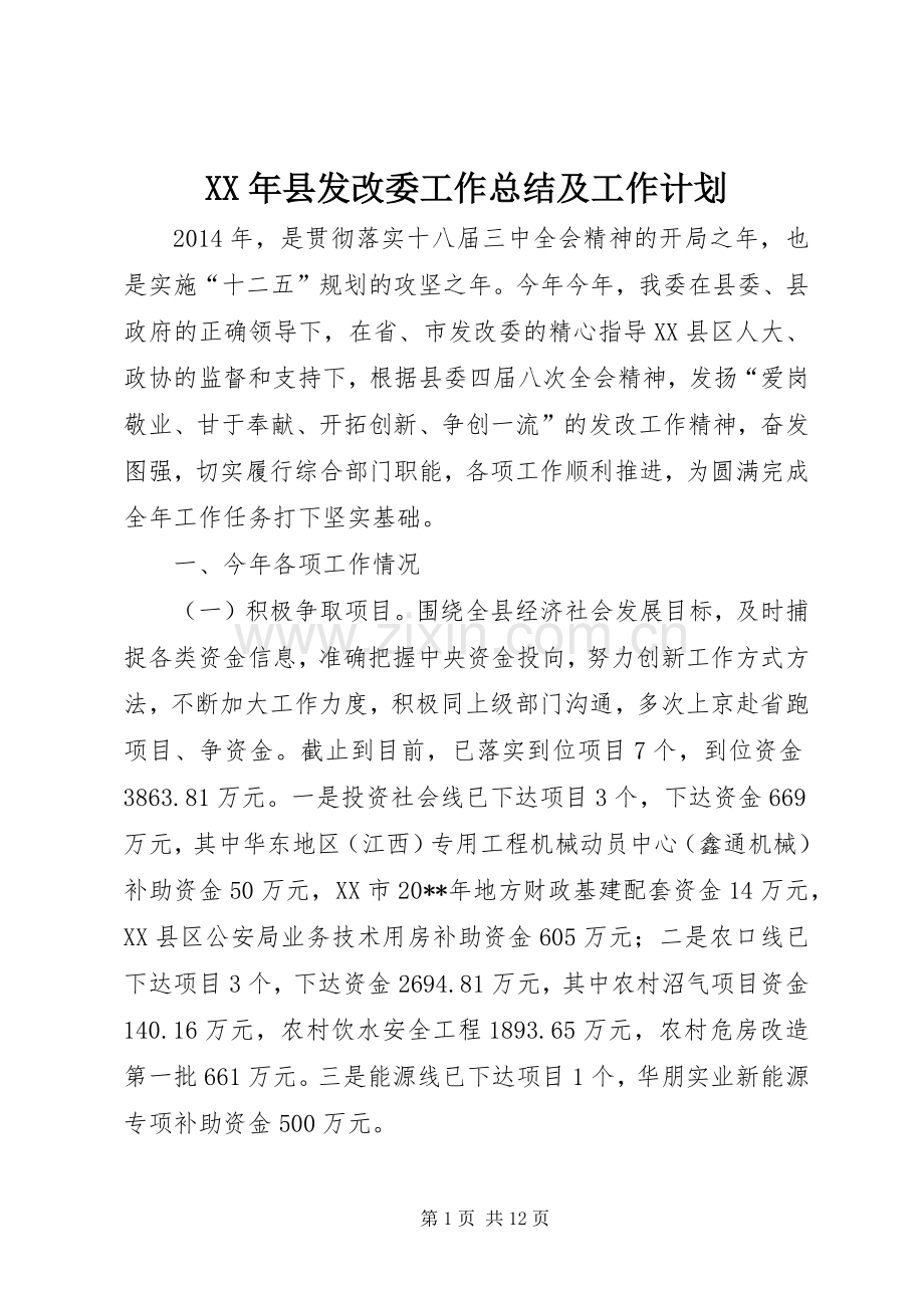 XX年县发改委工作总结及工作计划.docx_第1页