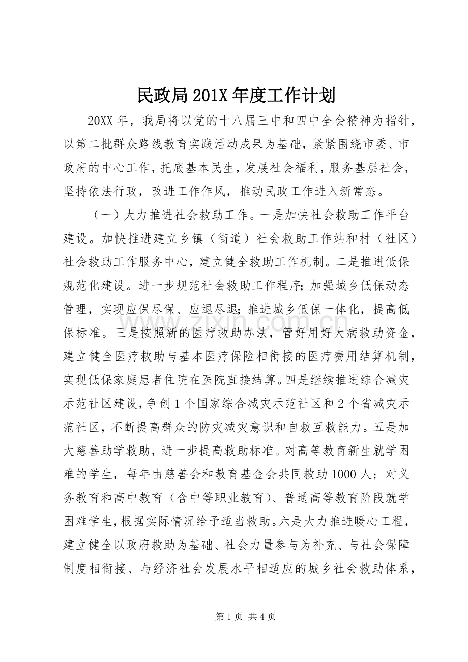 民政局201X年度工作计划.docx_第1页