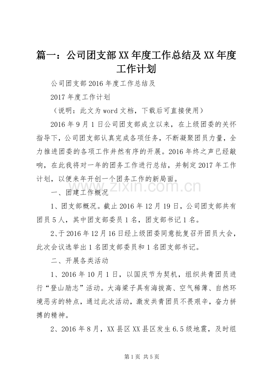 篇一：公司团支部XX年度工作总结及XX年度工作计划.docx_第1页