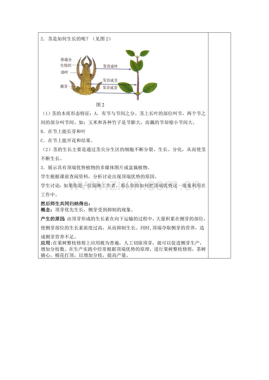 八年级科学上册：6.1 绿色植物的营养器官教案(二) 华东师大版.doc_第3页