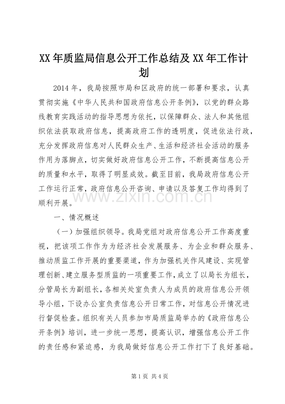 XX年质监局信息公开工作总结及XX年工作计划.docx_第1页