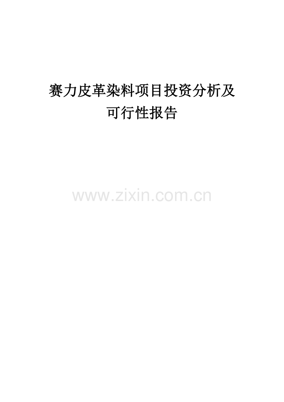 赛力皮革染料项目投资分析及可行性报告.docx_第1页