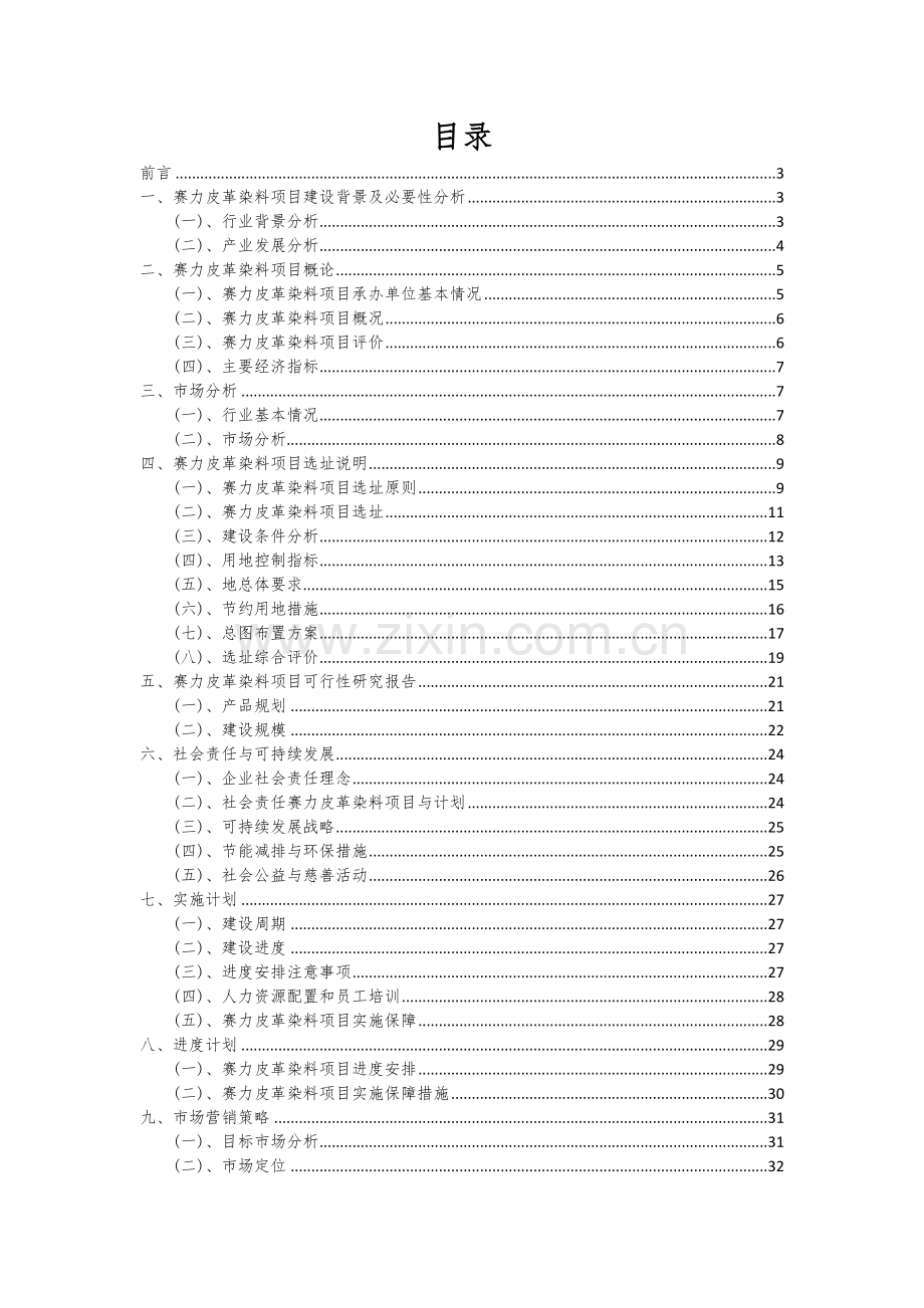 赛力皮革染料项目投资分析及可行性报告.docx_第2页