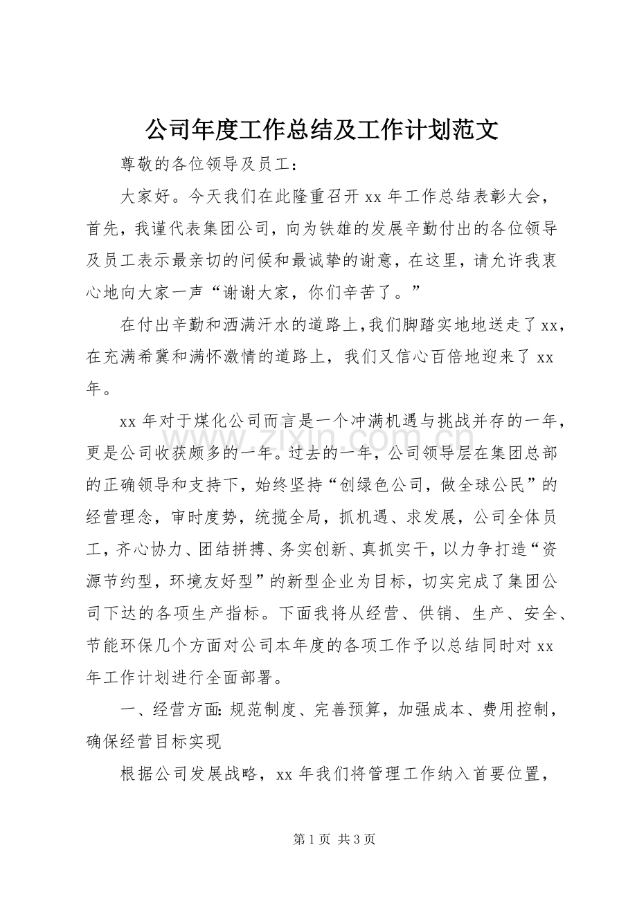 公司年度工作总结及工作计划范文.docx_第1页