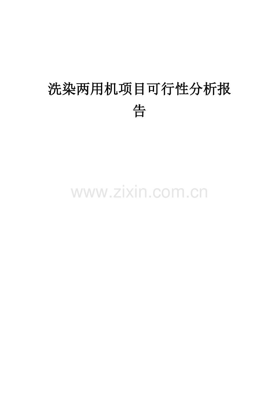 洗染两用机项目可行性分析报告.docx_第1页