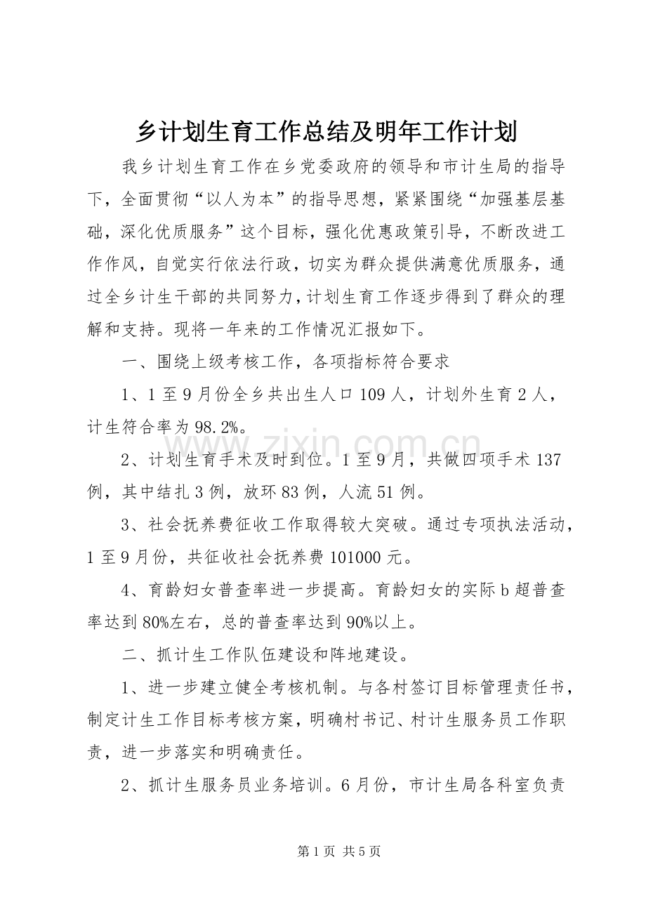 乡计划生育工作总结及明年工作计划.docx_第1页