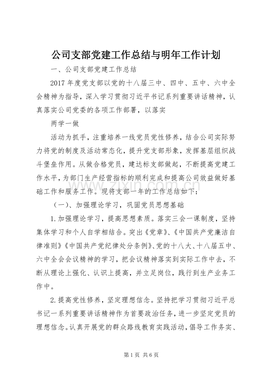 公司支部党建工作总结与明年工作计划 .docx_第1页