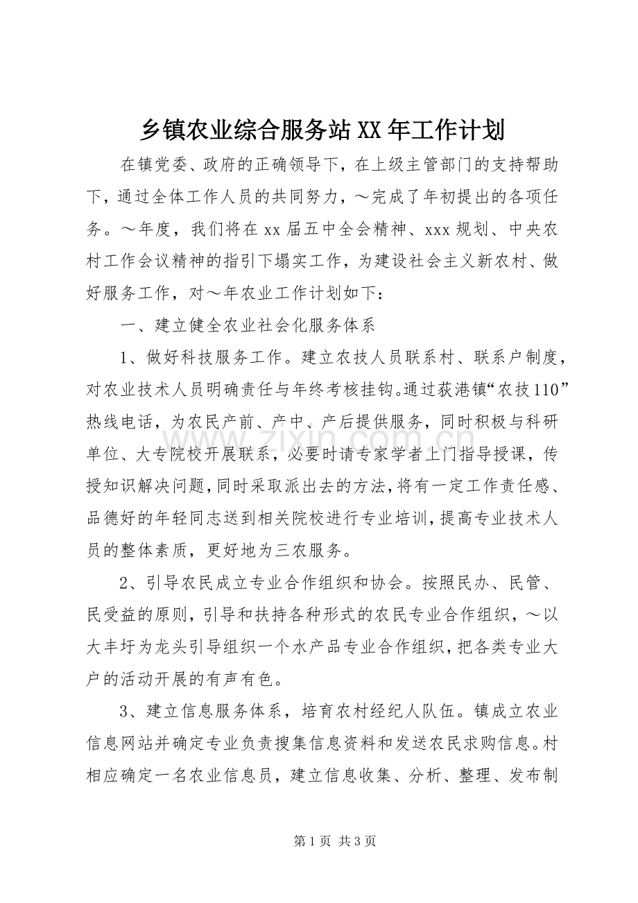 乡镇农业综合服务站XX年工作计划.docx_第1页