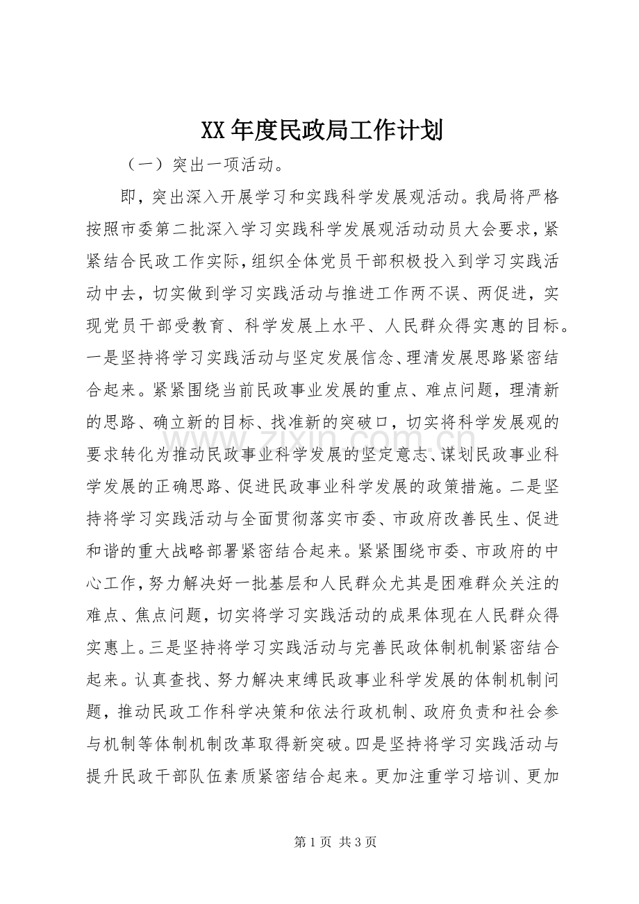 XX年度民政局工作计划.docx_第1页