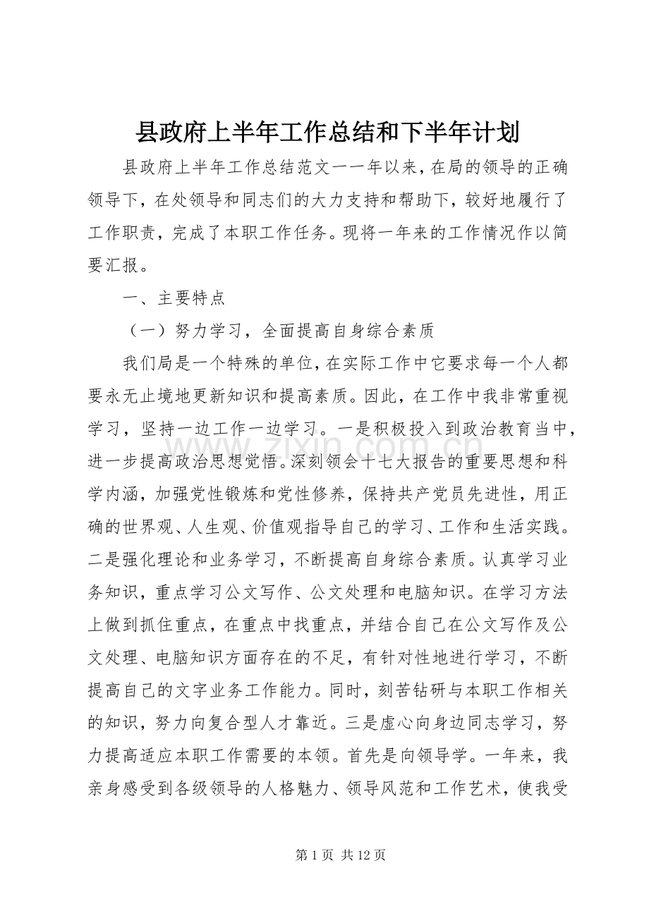 县政府上半年工作总结和下半年计划.docx_第1页