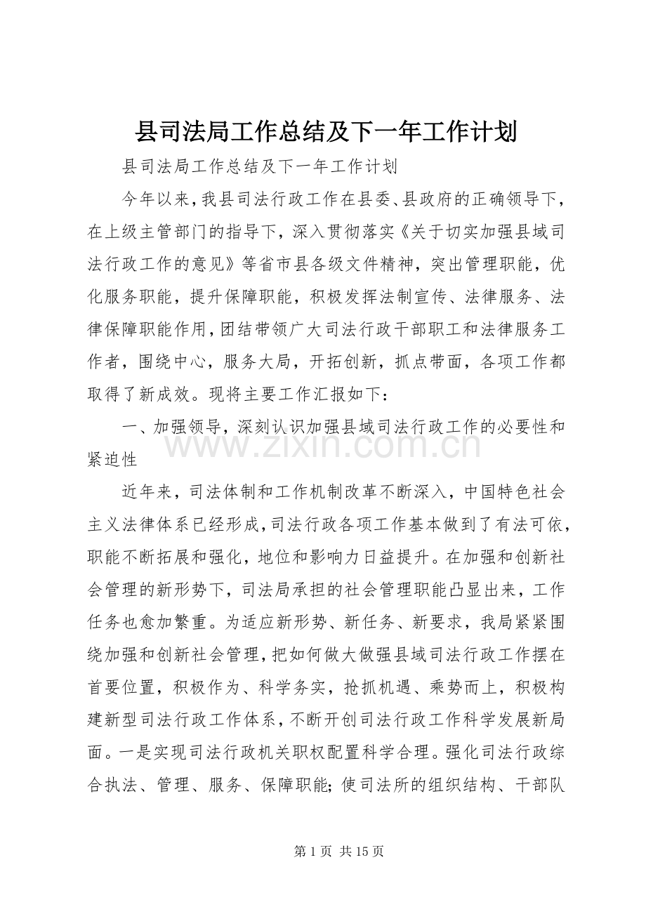 县司法局工作总结及下一年工作计划.docx_第1页