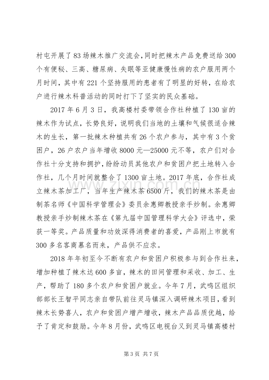 发展村集体经济发展计划汇报发言.docx_第3页