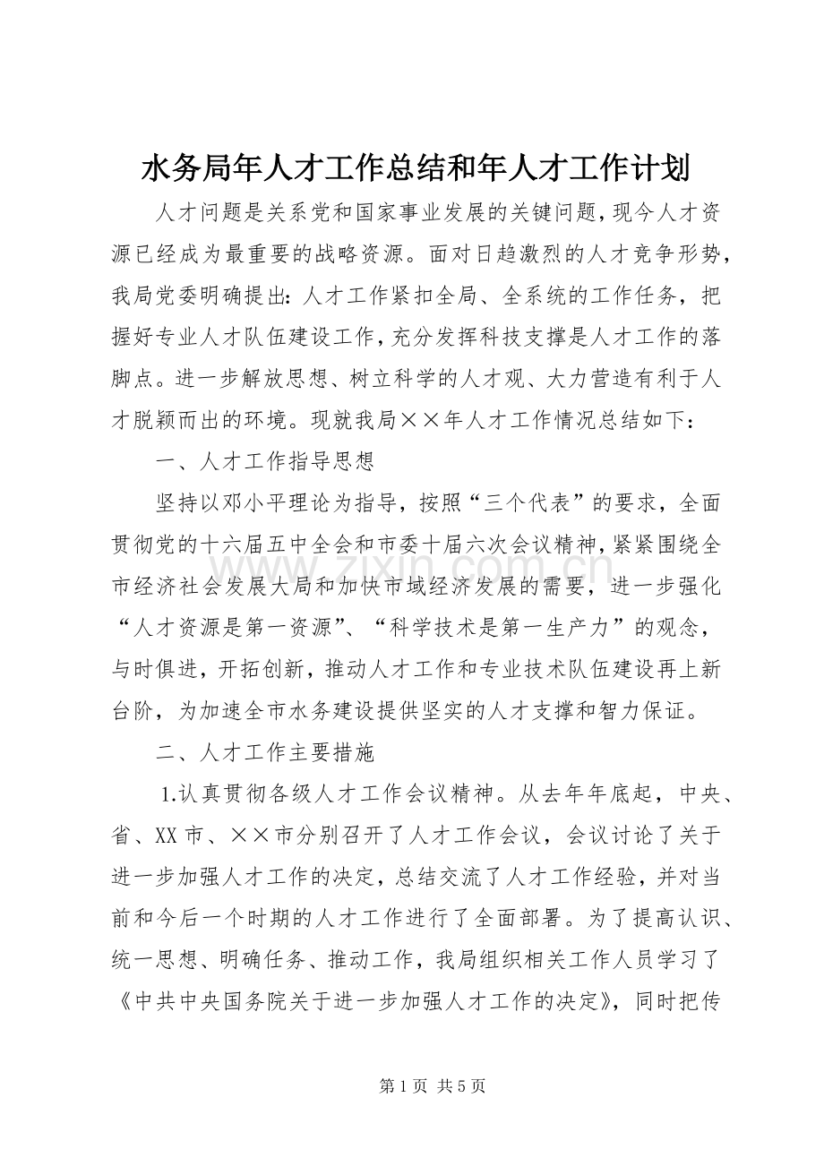 水务局年人才工作总结和年人才工作计划 .docx_第1页