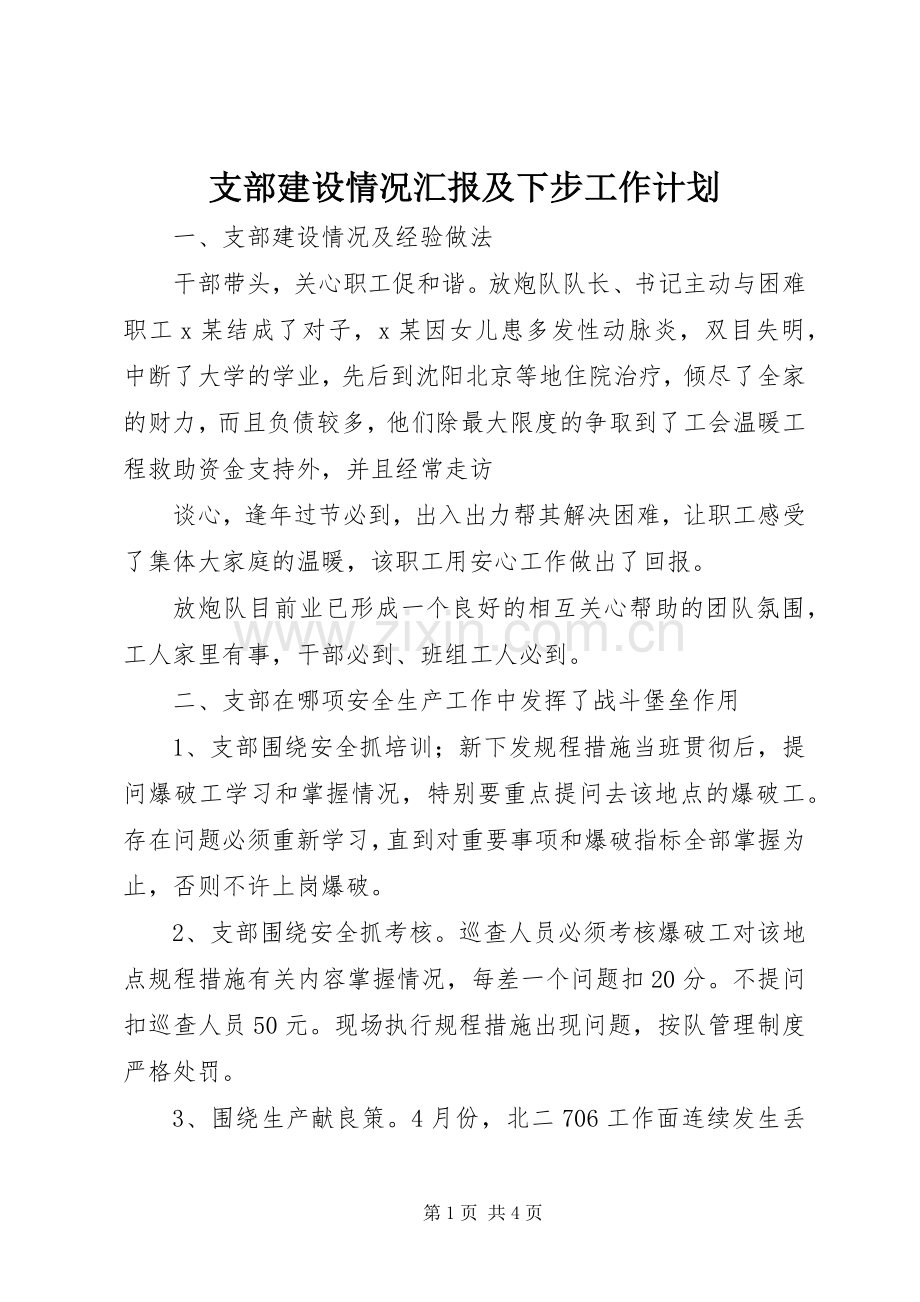 支部建设情况汇报及下步工作计划 .docx_第1页