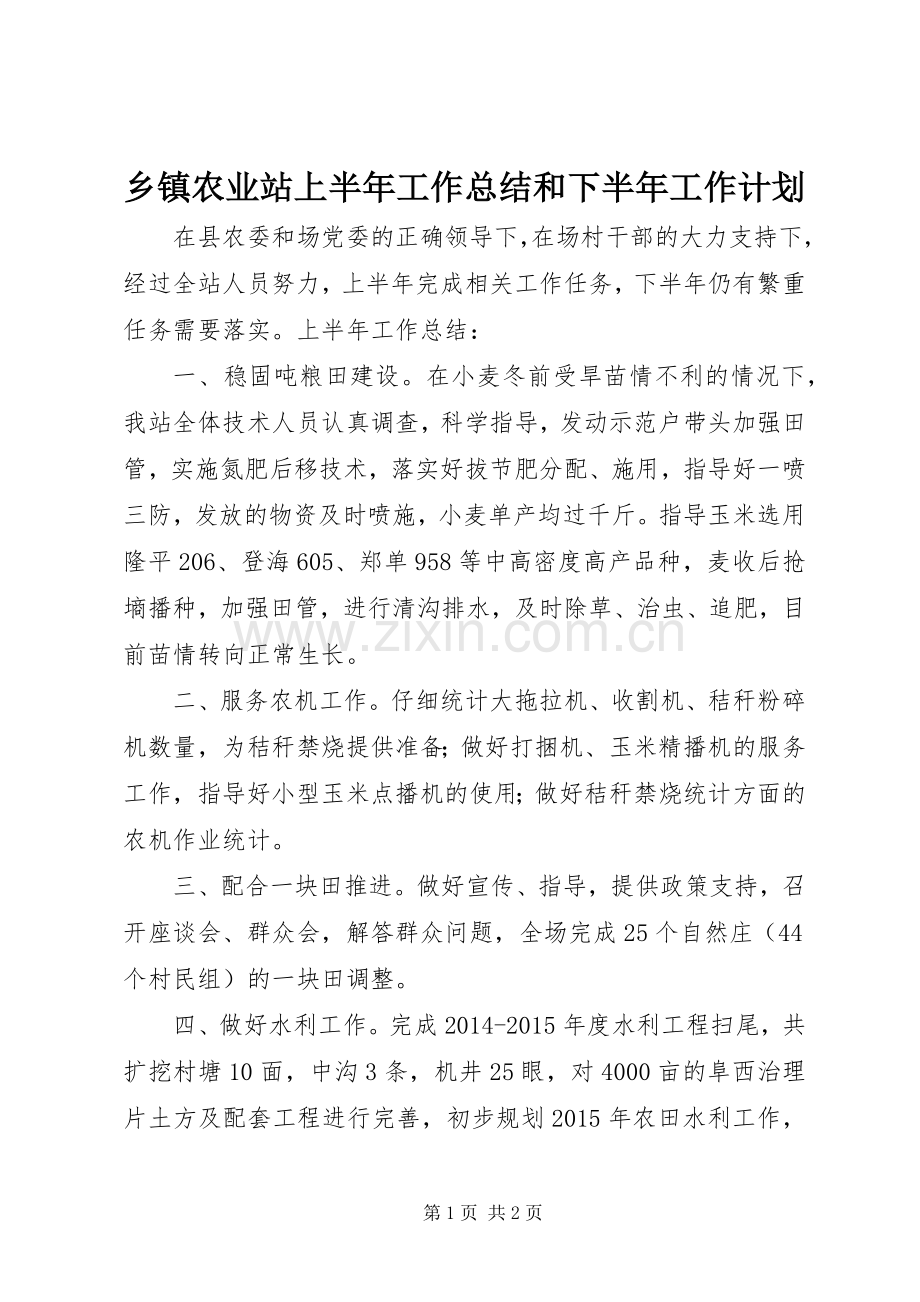 乡镇农业站上半年工作总结和下半年工作计划.docx_第1页