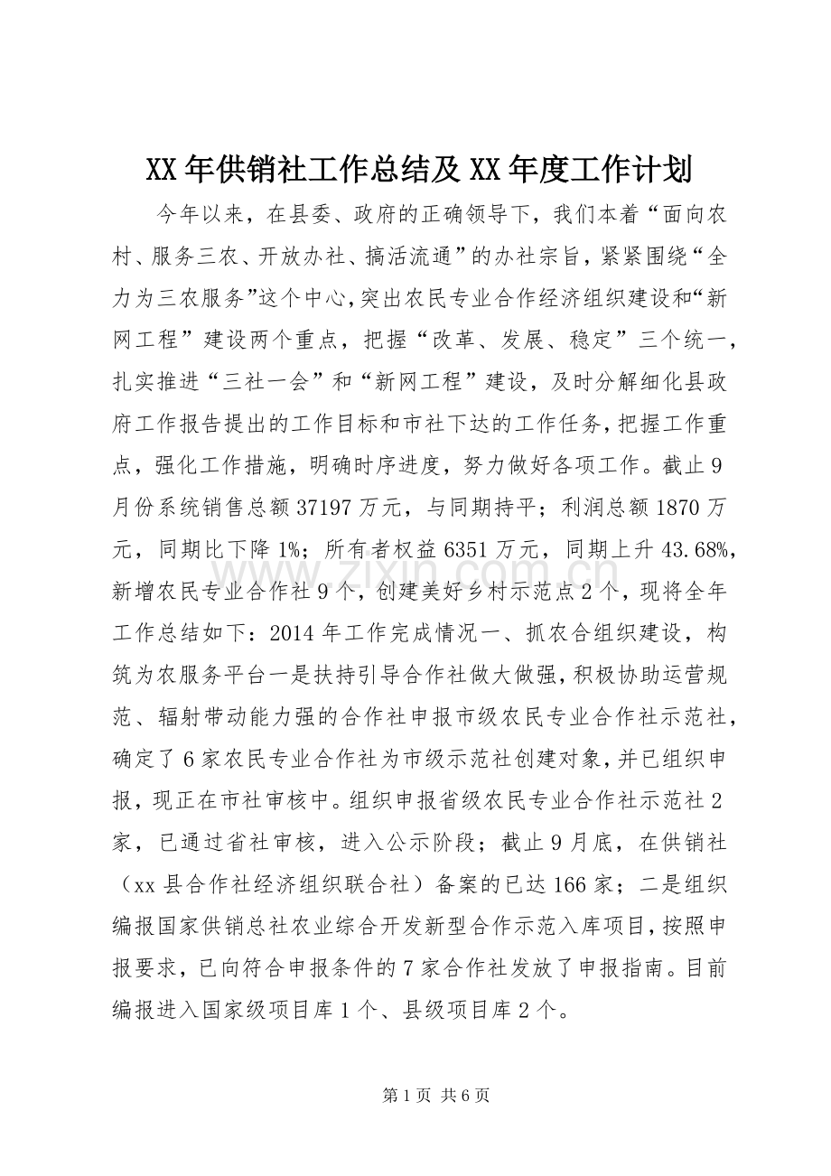 XX年供销社工作总结及XX年度工作计划.docx_第1页