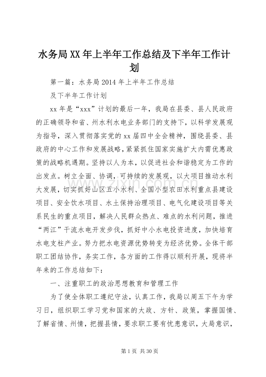 水务局XX年上半年工作总结及下半年工作计划.docx_第1页