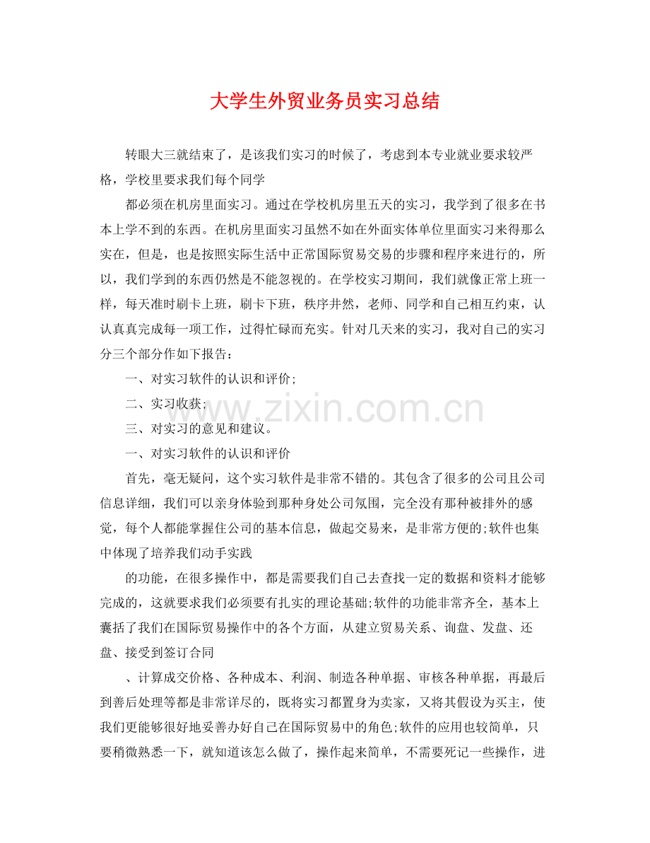 大学生外贸业务员实习总结 .docx_第1页