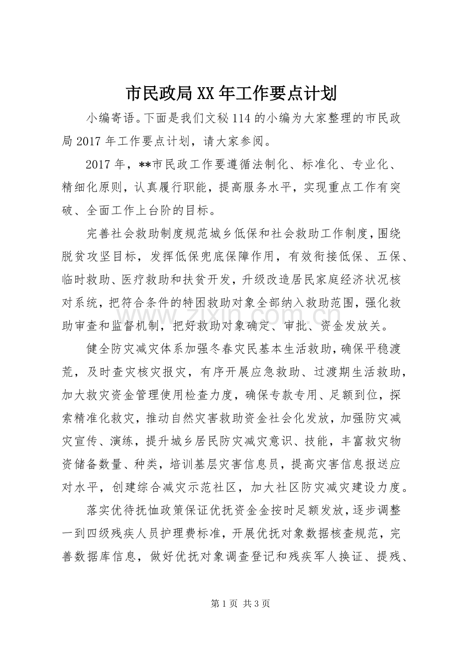 市民政局XX年工作要点计划.docx_第1页