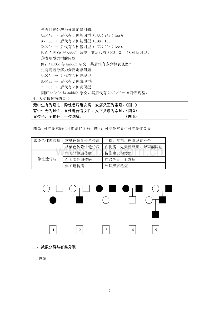 高中生物必修2遗传与进化.doc_第2页