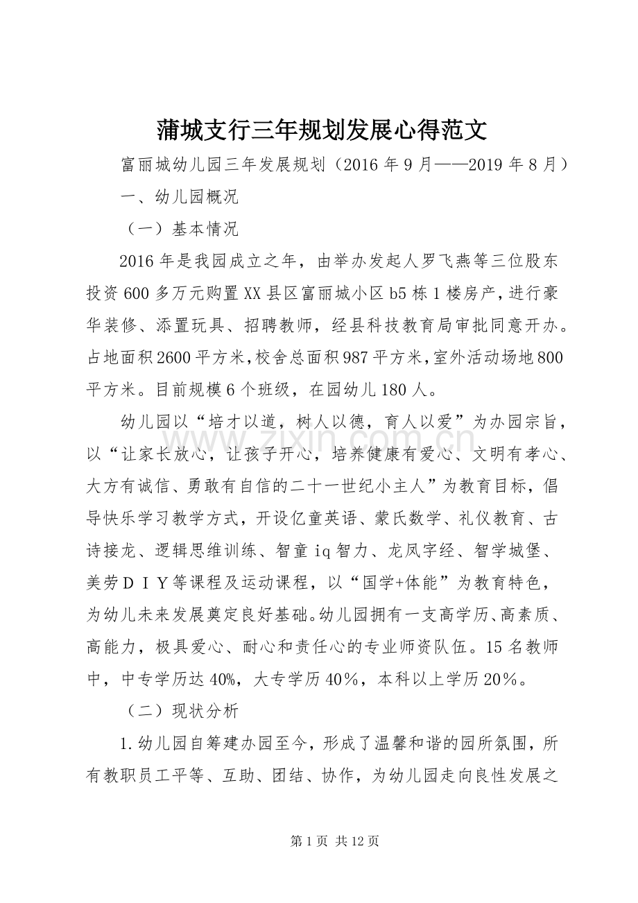 蒲城支行三年规划发展心得范文 .docx_第1页