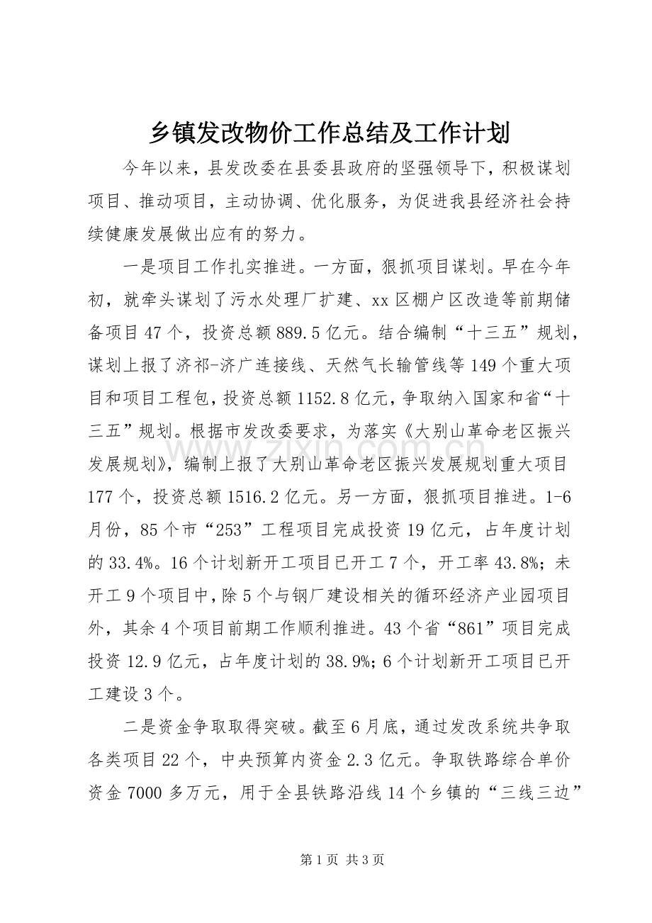 乡镇发改物价工作总结及工作计划.docx_第1页