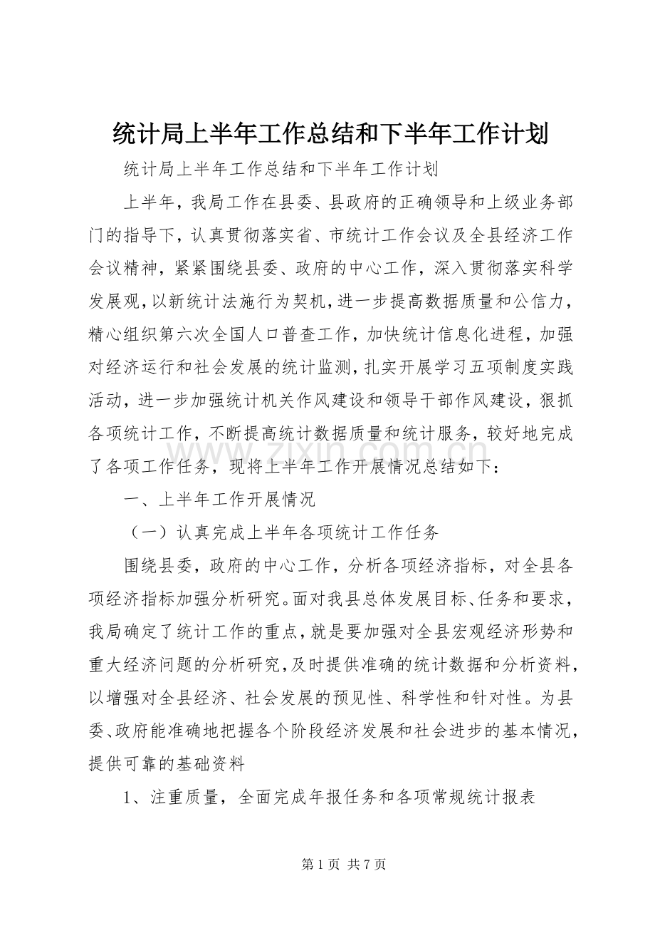 统计局上半年工作总结和下半年工作计划_1 .docx_第1页