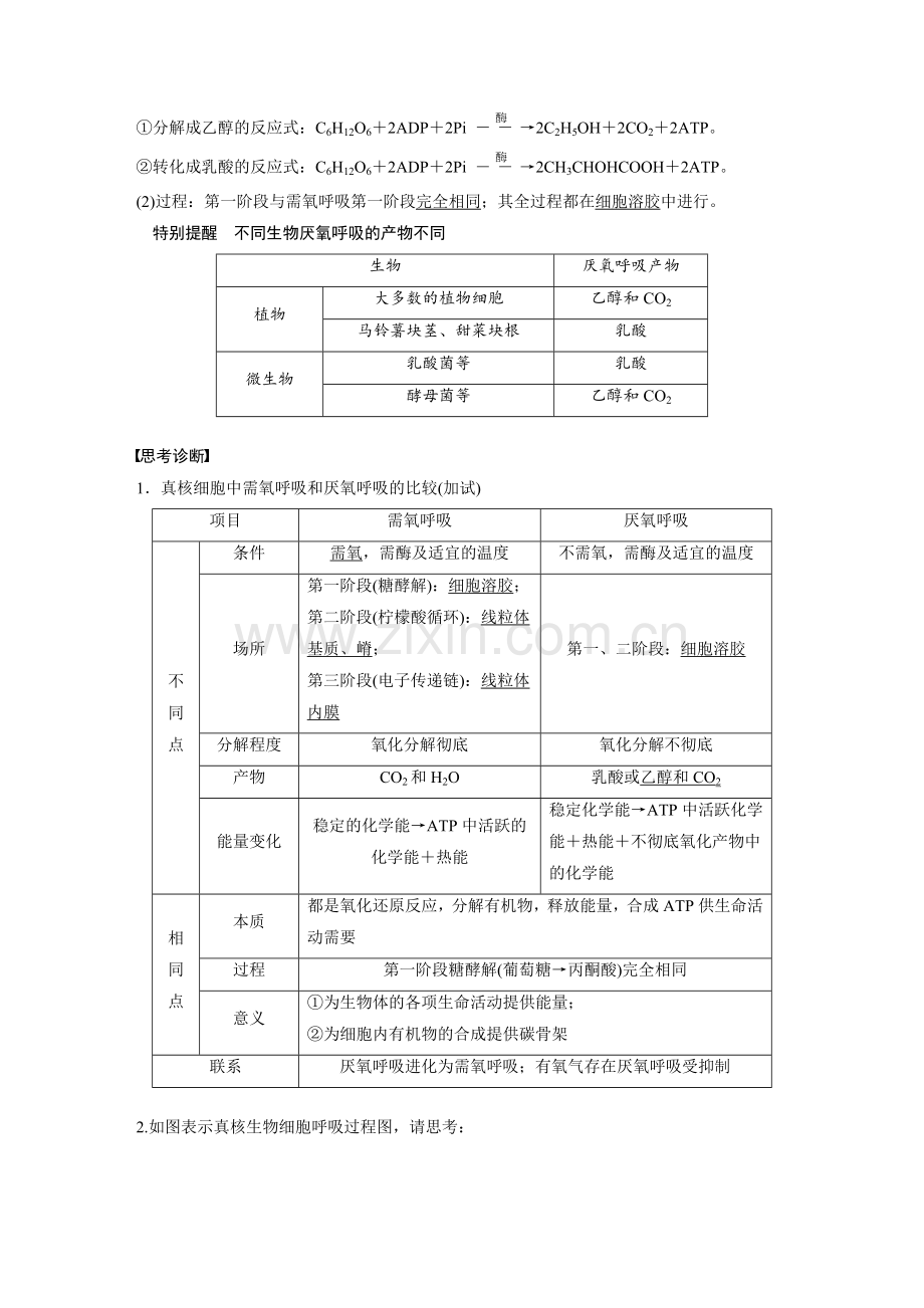 第2单元第8讲细胞呼吸.docx_第2页