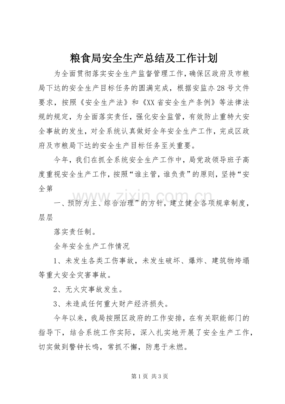 粮食局安全生产总结及工作计划 .docx_第1页