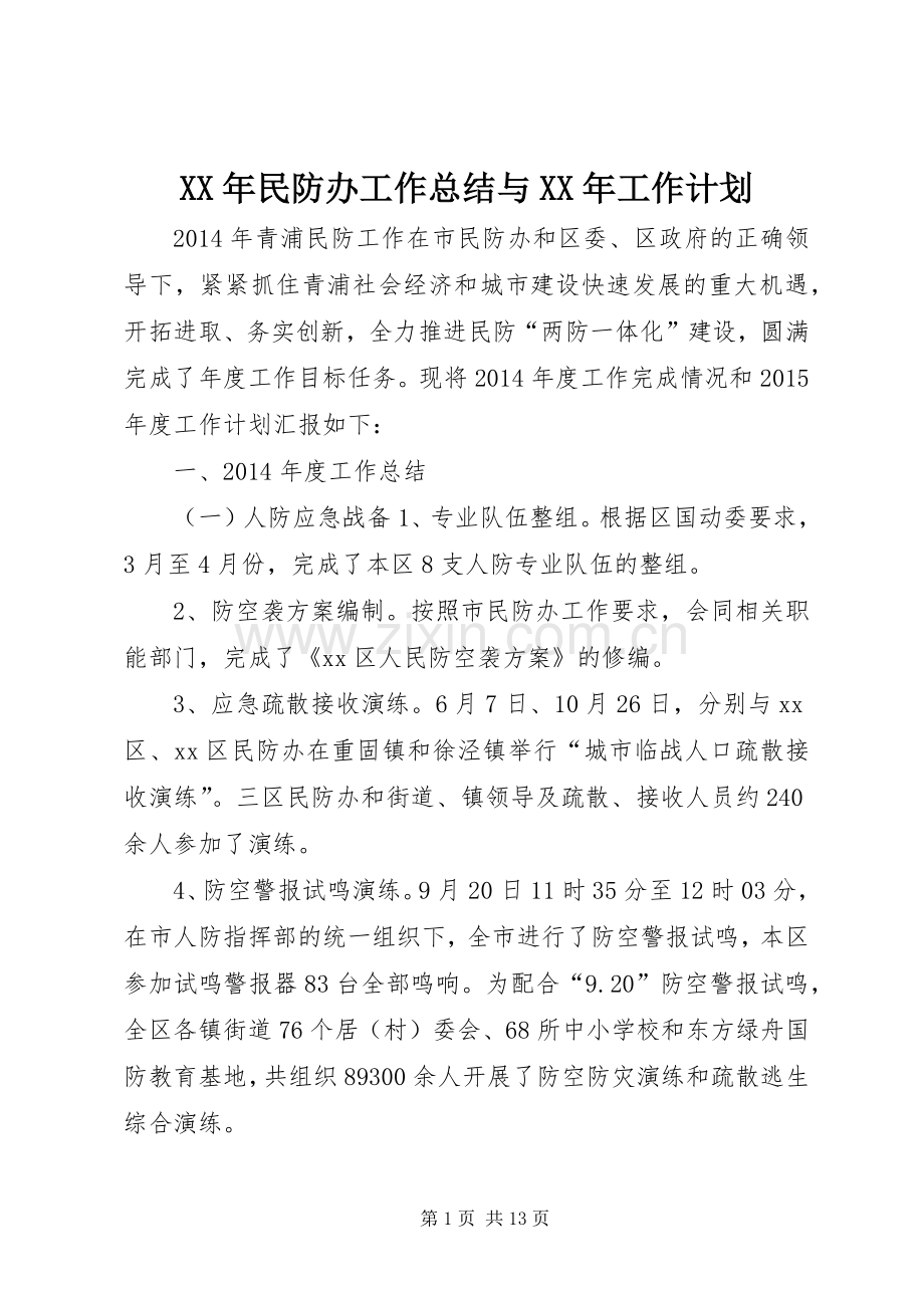 XX年民防办工作总结与XX年工作计划.docx_第1页