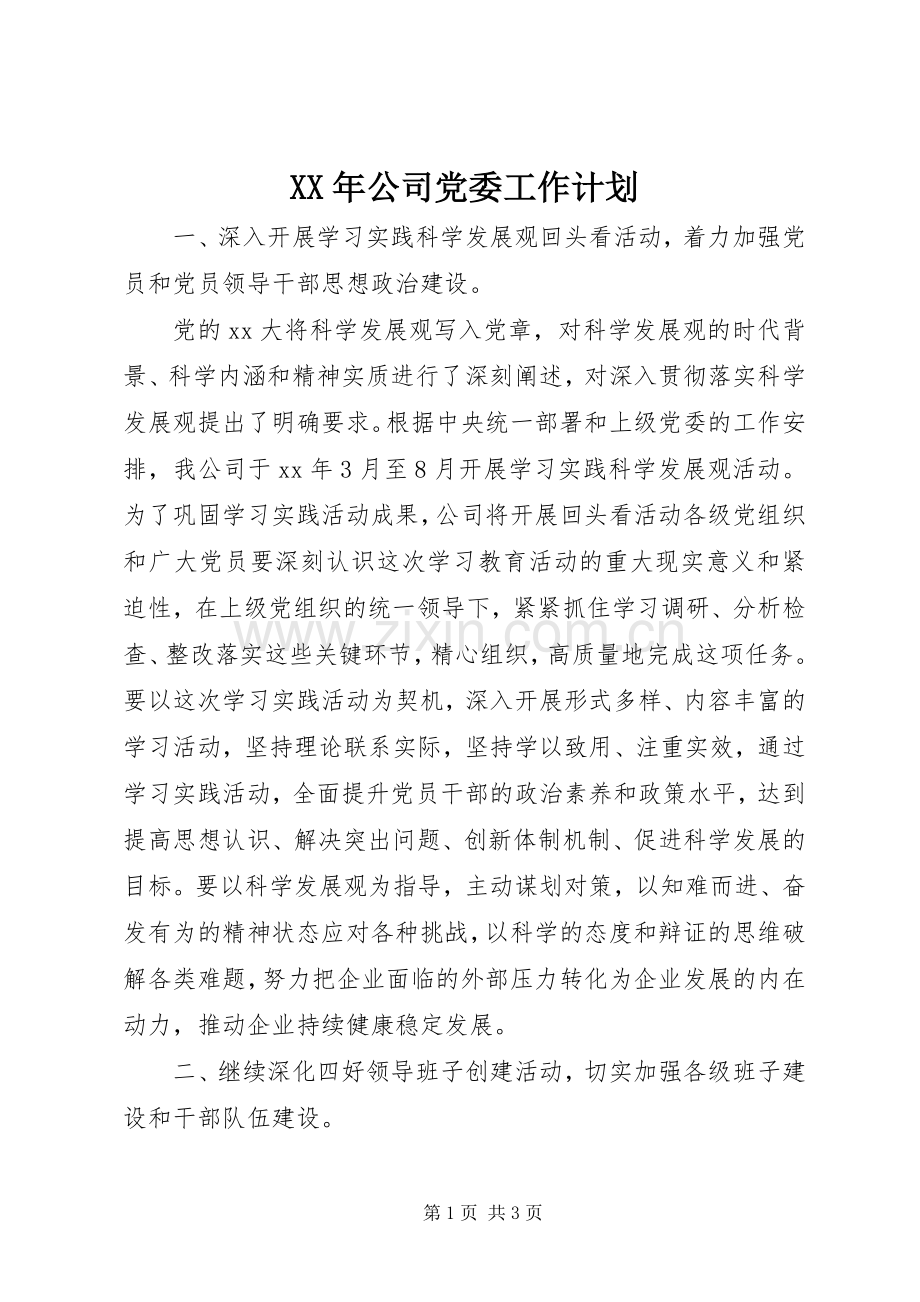 XX年公司党委工作计划.docx_第1页