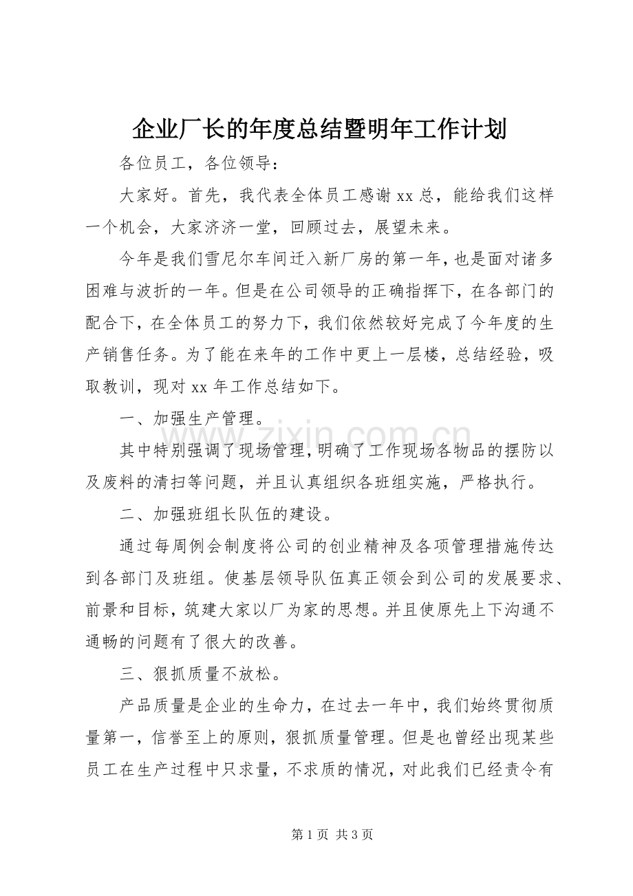 企业厂长的年度总结暨明年工作计划.docx_第1页