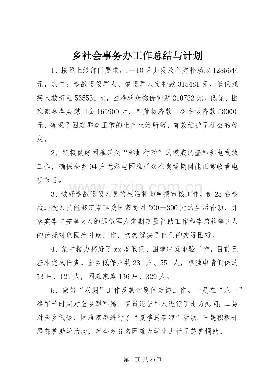 乡社会事务办工作总结与计划.docx_第1页