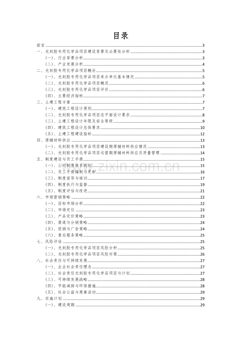 光刻胶专用化学品项目可行性研究报告.docx_第2页