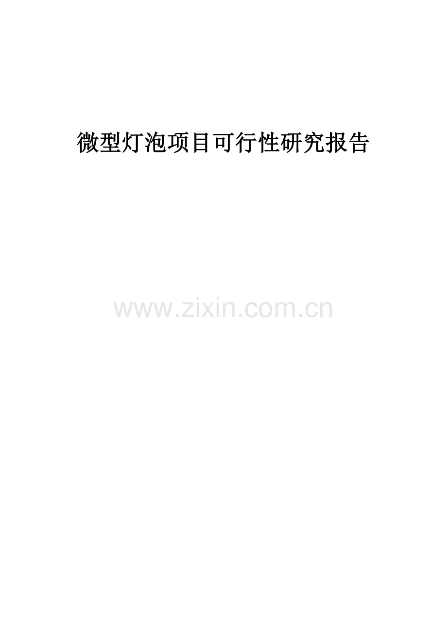 微型灯泡项目可行性研究报告.docx_第1页