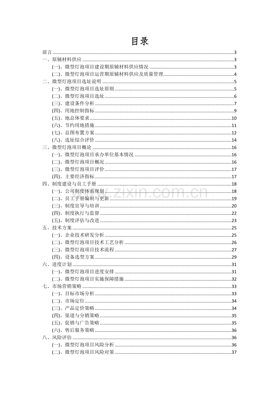 微型灯泡项目可行性研究报告.docx_第2页