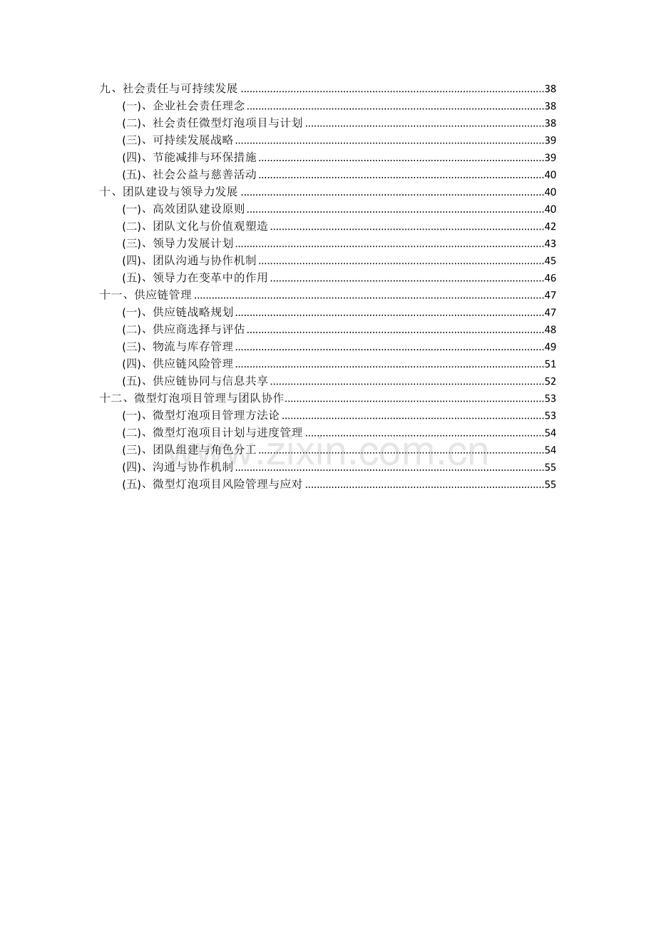 微型灯泡项目可行性研究报告.docx_第3页