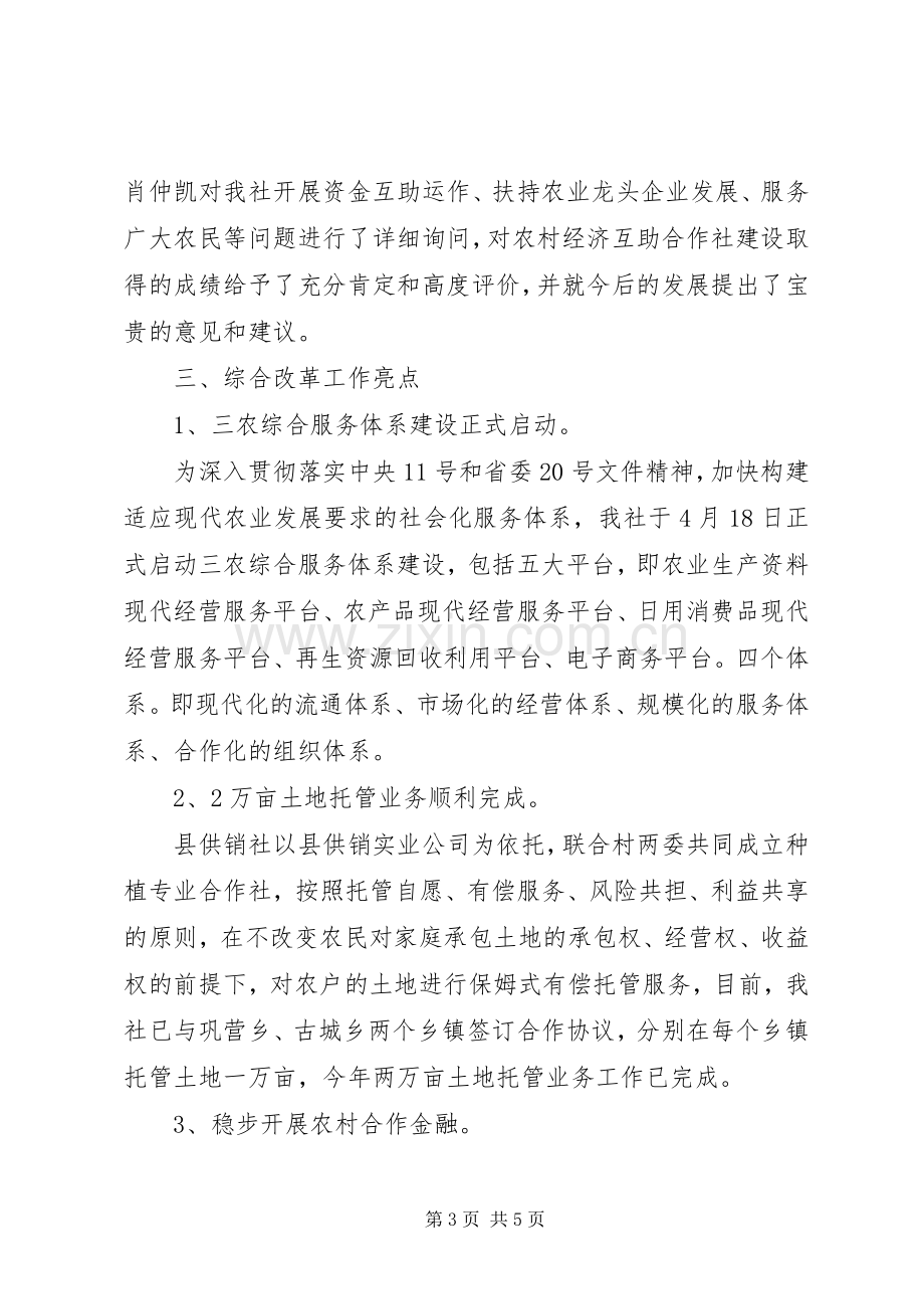 县供销合作社XX年度工作总结及下年计划.docx_第3页