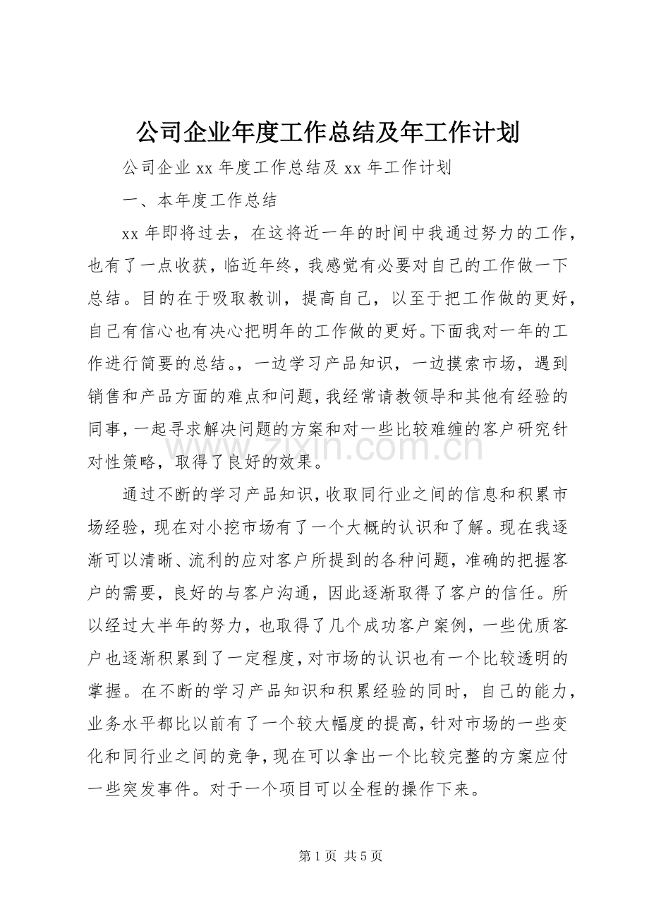 公司企业年度工作总结及年工作计划 .docx_第1页