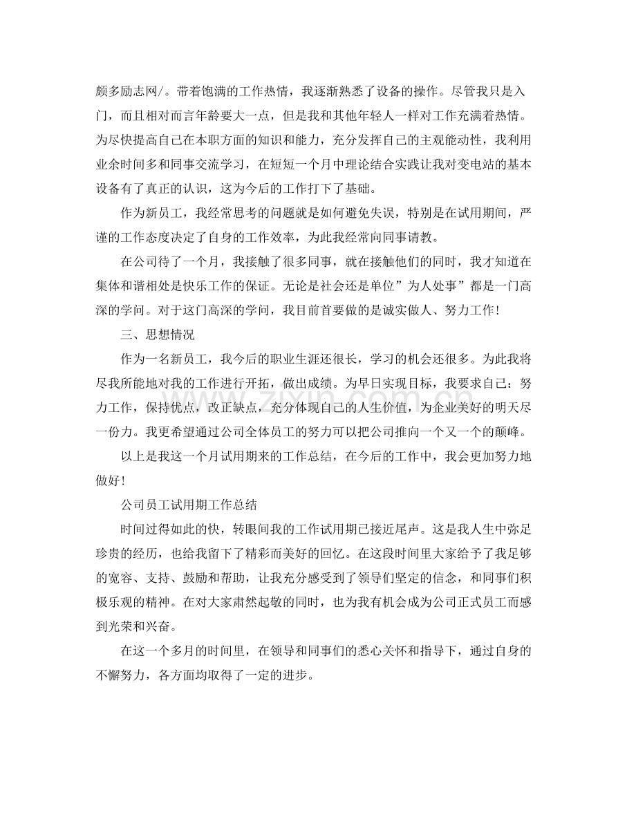 公司员工试用期的工作总结 .docx_第2页