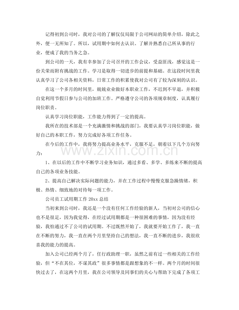 公司员工试用期的工作总结 .docx_第3页