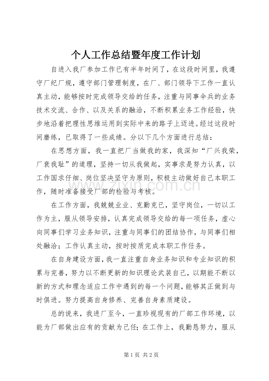 个人工作总结暨年度工作计划.docx_第1页