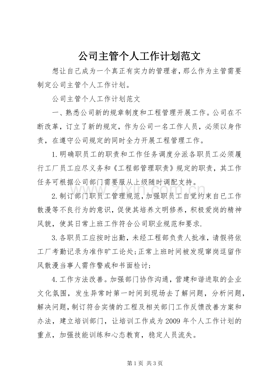 公司主管个人工作计划范文 .docx_第1页