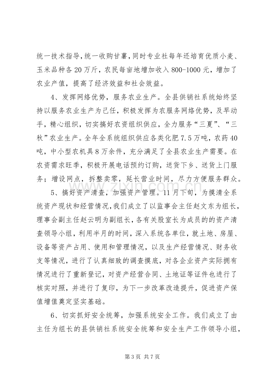 供销社年度工作总结及工作计划.docx_第3页