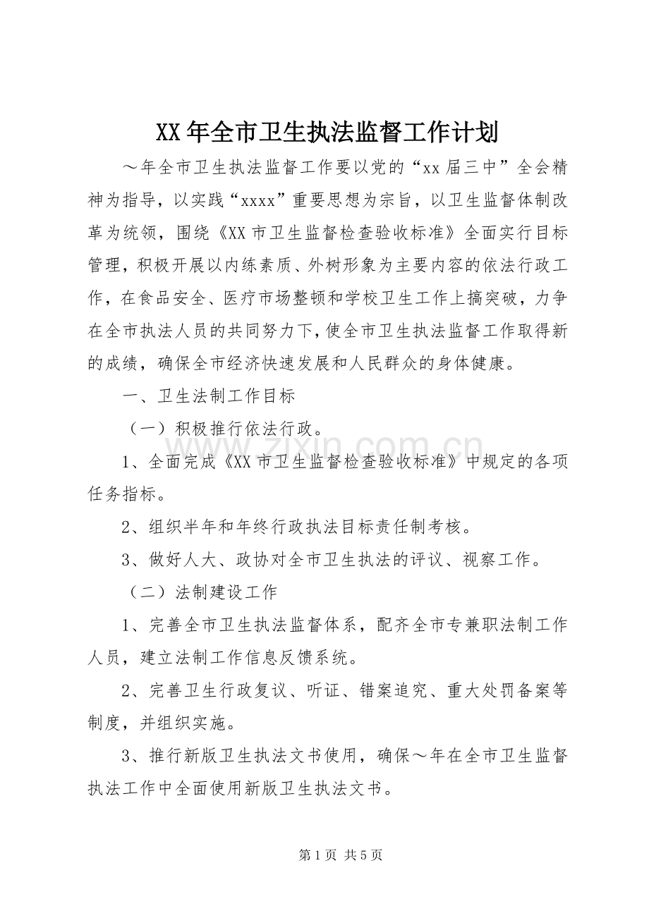 XX年全市卫生执法监督工作计划.docx_第1页